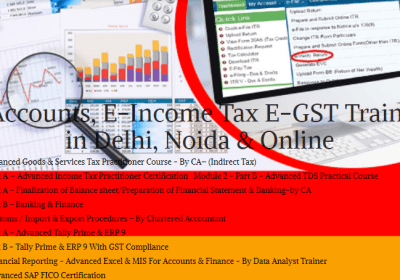 The Evolving Role of Accountants: Why Learning Accounting in 2025 Matters, 100% Job, Best Accounting Course in Delhi, 110040 – Free SAP FICO Certification by SLA Consultants India, GST Certification, ITR & DTC Classes with 2025 Update, Tally Prime Certification,